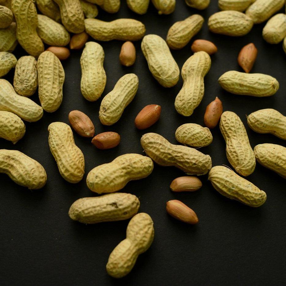 Advice to feed babies peanuts early and often helped thousands of kids avoid allergies
